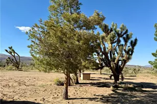 18756 Rose Dr, Dolan Springs, AZ 86441 - Photo 14