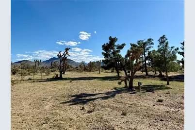 18756 Rose Drive, Dolan Springs, AZ 86441 - Photo 12