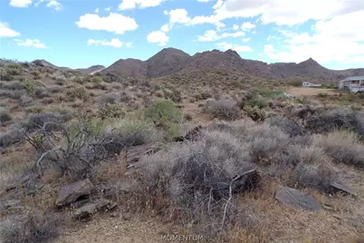 330-25-040 W Castle Springs Road, Golden Valley, AZ 86413 - Photo 14