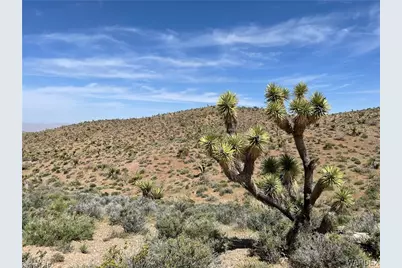 0 N Salt Springs Road, White Hills, AZ 86445 - Photo 1