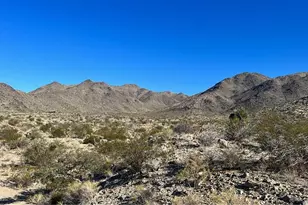 316-03-018 N Mead Dr, Dolan Springs, AZ 86441 - Photo 1