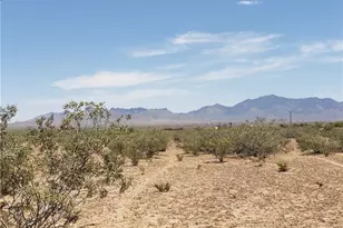0000 Jerry, Dolan Springs, AZ 86441 - Photo 1