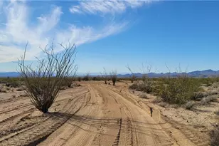 Lot 197 S Cholla / Cortaro Rd, Yucca, AZ 86438 - Photo 1