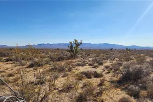 606D S Billy The Kid Rd, Yucca, AZ 86438 - Photo 1