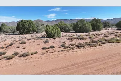 0000 Tyree, Hackberry, AZ 86411 - Photo 1