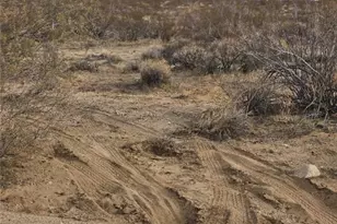 Lot 12 S Roll Rd, Yucca, AZ 86438 - Photo 1