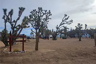 26306 N Peach Ln, Meadview, AZ 86444 - Photo 1