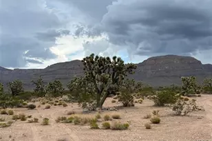 Unk Green Tree Rd, Meadview, AZ 86444 - Photo 1