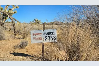 2358 S Cattle Crossing Road, Yucca, AZ 86438 - Photo 1