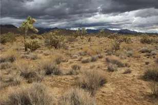 11844 S Desert View Rd, Yucca, AZ 86438 - Photo 1