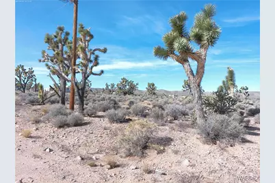 26241 N Humming Bird Lane, Meadview, AZ 86444 - Photo 1