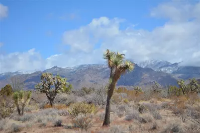 Lot 767 Alamo/La Cienega Road, Yucca, AZ 86438 - Photo 1