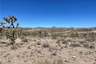 328-04-297 Magnolia Dr, Dolan Springs, AZ 86441 - Photo 1