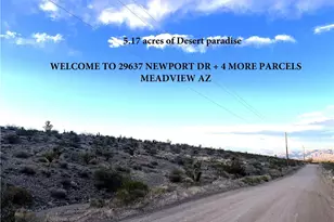 29637 Newport Dr, Meadview, AZ 86444 - Photo 1