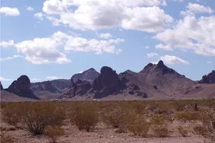 Lot 16 W Chemehuevi Rd, Golden Valley, AZ 86413 - Photo 1