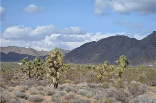 5 5 Acres S Suzette, Yucca, AZ 86438 - Photo 1