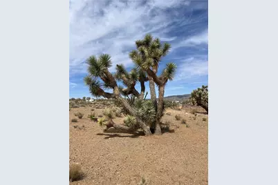 327-02-131 Sunflower Dr, Dolan Springs, AZ 86441 - Photo 1