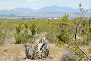 Lots 13 & 14 N Escuela, Golden Valley, AZ 86413 - Photo 1