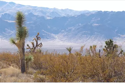 19112 N Pony Road, White Hills, AZ 86445 - Photo 1