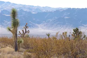 19112 N Pony Rd, White Hills, AZ 86445 - Photo 1