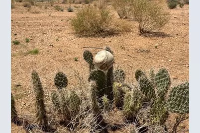 9478 N Branded Road, Kingman, AZ 86401 - Photo 1