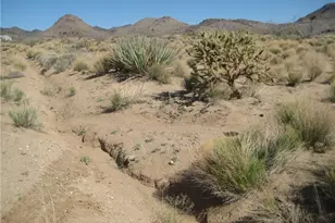 000 Redwing Canyon Rd, Kingman, AZ 86409 - Photo 1