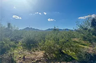 981 S Elfrida Rd, Golden Valley, AZ 86413 - Photo 1