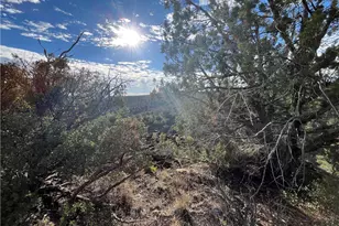 661 Edge Ridge Rd, Seligman, AZ 86337 - Photo 1