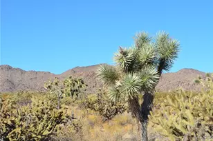 11900 S Alan Rd, Yucca, AZ 86438 - Photo 1