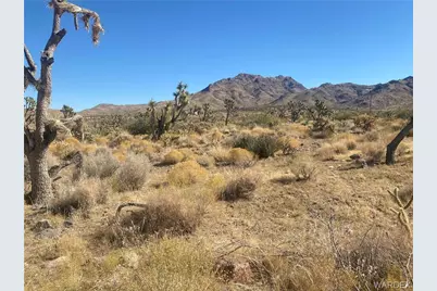 Lots 257, 284 Palm Drive, Dolan Springs, AZ 86441 - Photo 1