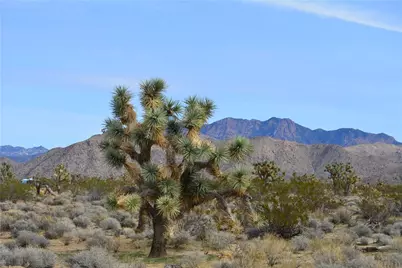 11872 S Date Creek Road, Yucca, AZ 86438 - Photo 1