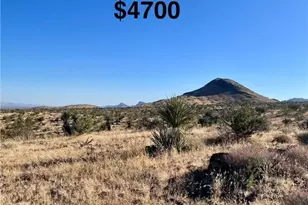 Lot 16 W Mancos Dr, Golden Valley, AZ 86413 - Photo 1