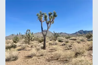 327-06-541 19th Street, Dolan Springs, AZ 86441 - Photo 1