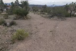 8368 W Cordelia, White Hills, AZ 86445 - Photo 1