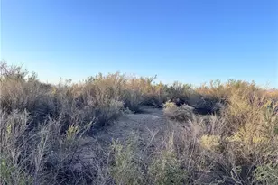 2891 Mesa Del Oro, Mohave Valley, AZ 86440 - Photo 1