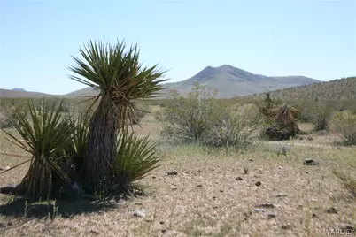 Lot 125 Macon Crest Avenue, Dolan Springs, AZ 86441 - Photo 1