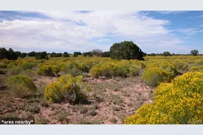 338-03-304 Bonview Drive, Meadview, AZ 86444 - Photo 1