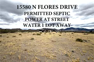 15580 N Flores Dr, Dolan Springs, AZ 86441 - Photo 1