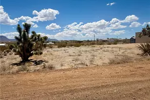 50 E Nims Ln, Meadview, AZ 86444 - Photo 1