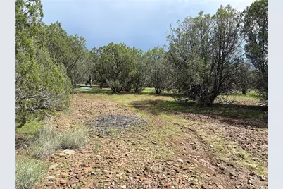 314-59-037 Greeley Dam Road, Seligman, AZ 86337 - Photo 1