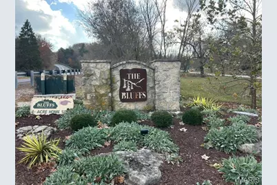 60 The Bluffs Drive #60, Eureka, MO 63025 - Photo 1