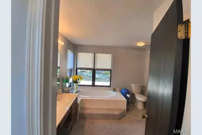 3804 Trinity Circle, Florissant, MO 63034 - Photo 28