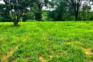 13221 Stone Ct Tbb (Lot 1), Town and Country, MO 63131 - Photo 8