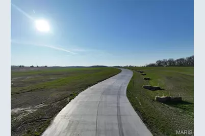 1008 Quail Grove Circle (Lot 20), O'Fallon, MO 63366 - Photo 14