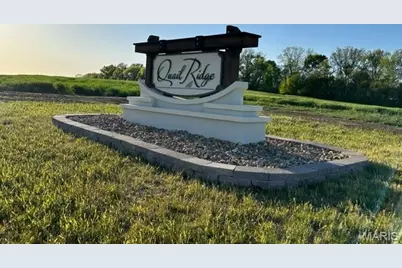 1004 Quail Grove Circle (Lot 21), O'Fallon, MO 63366 - Photo 1