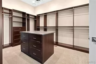 783 Schaeffers Grv Ct, Chesterfield, MO 63005 - Photo 30