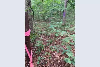 0 Lot 62.01 Acres, Hillsboro, MO 63050 - Photo 14