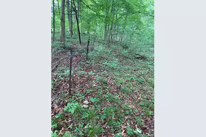 0 Lot 62.01 Acres, Hillsboro, MO 63050 - Photo 8