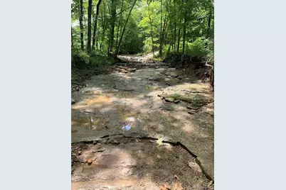 0 Lot 62.01 Acres, Hillsboro, MO 63050 - Photo 40