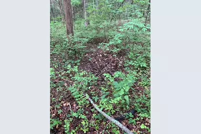 0 Lot 62.01 Acres, Hillsboro, MO 63050 - Photo 4